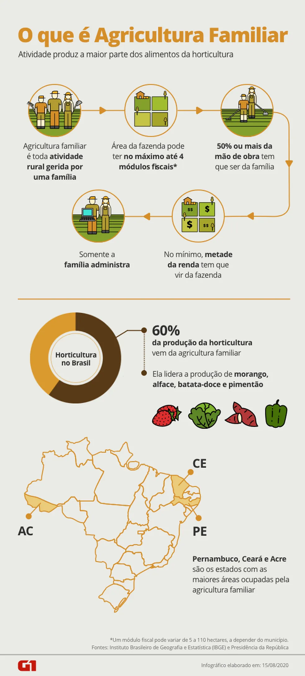 Infográfico